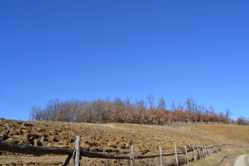 photo_6596_KM745-2