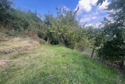 photo_6596_KM838B-11