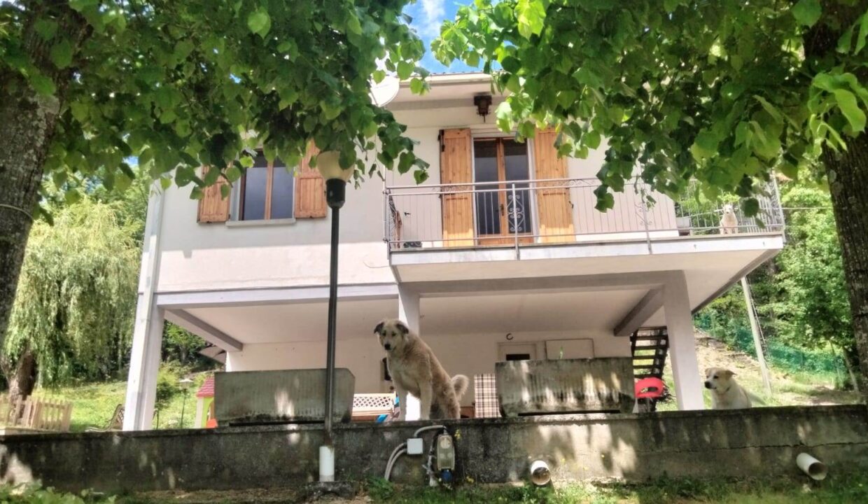 photo_6596_KM860-3