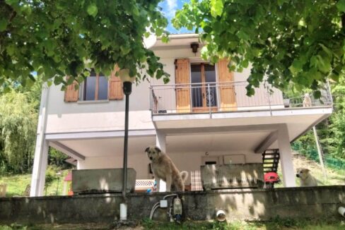 photo_6596_KM860-3