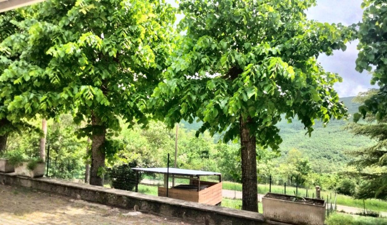 photo_6596_KM860-4