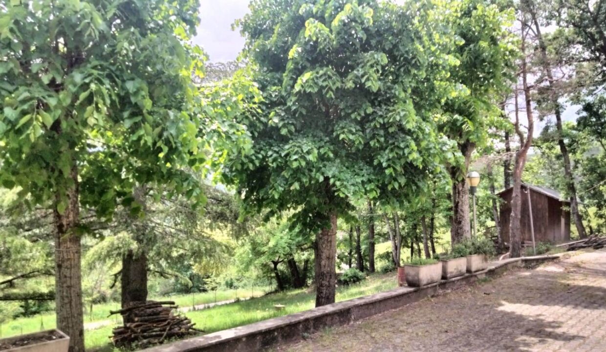 photo_6596_KM860-5