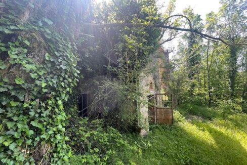 photo_6596_KM867-3