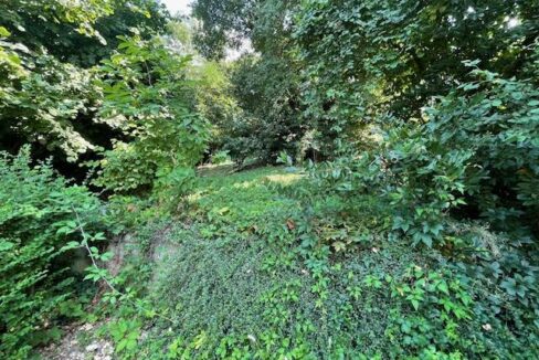 photo_6596_KM895-6