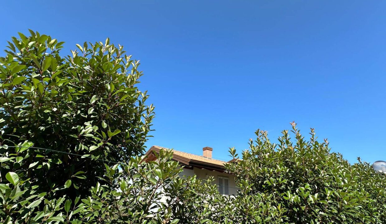 photo_6791_66-18