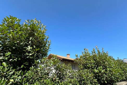 photo_6791_66-18