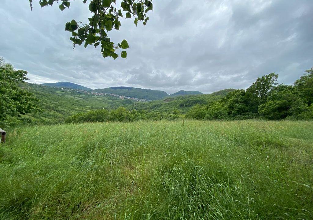 photo_6791_809-4