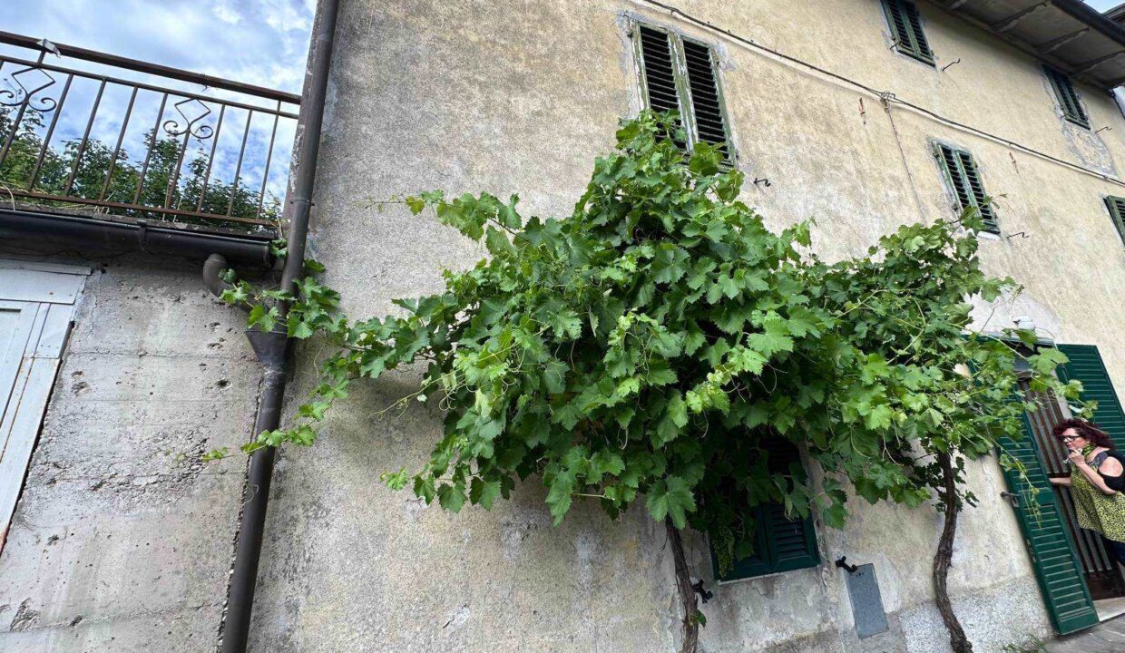 photo_6791_8731-2
