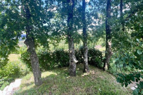 photo_6791_874-8