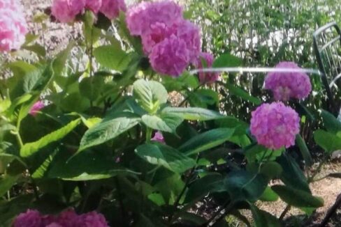 photo_6791_883-18