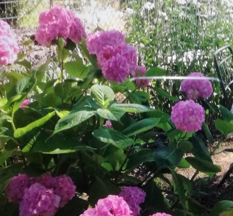 photo_6791_883-18