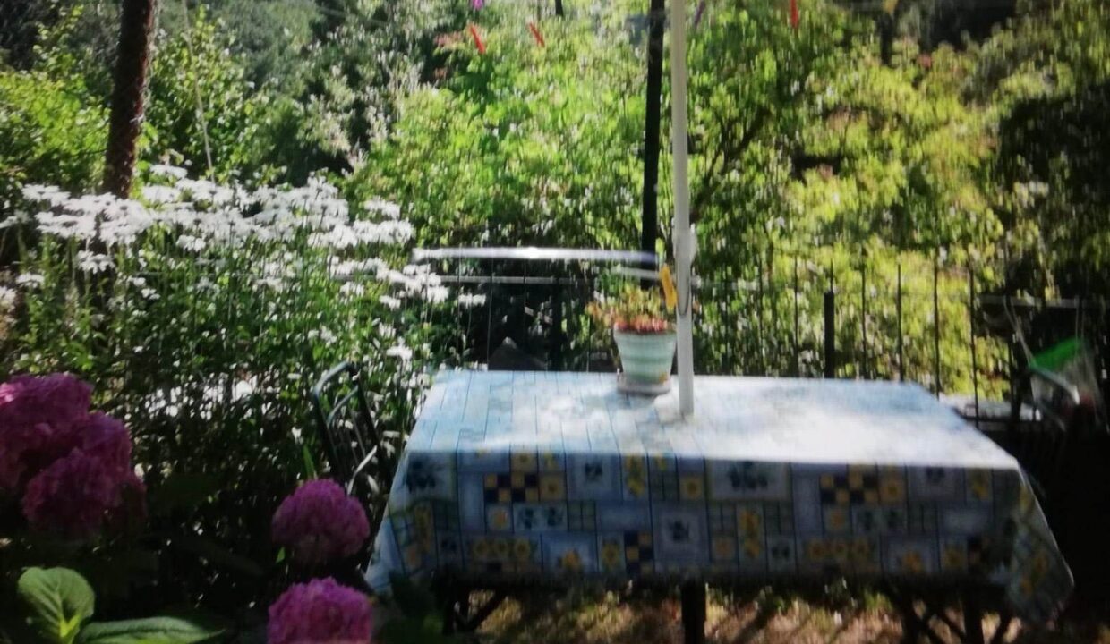 photo_6791_883-19